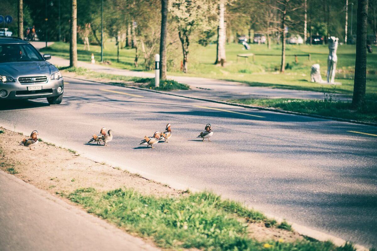 Imagem da instalações